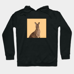 Roo the Kanagaroo Hoodie